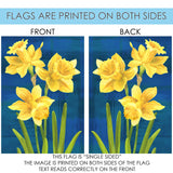 Daffodils On Blue Flag image 9