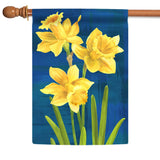 Daffodils On Blue Flag image 5