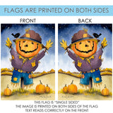 Scarecrow Pumpkin Flag image 9