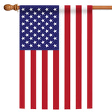USA Flag image 5