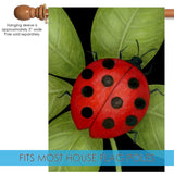 Ladybug Flag image 4