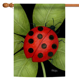 Ladybug Flag image 5