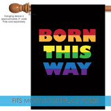 Born This Way Flag image 4