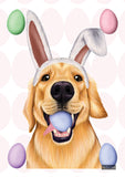 Easter Dog Image 2