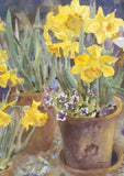 Potted Daffodils Flag image 2